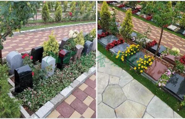 抖圈-为du而生官网入口