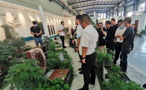 抖圈-为du而生官网入口