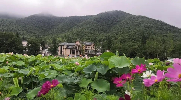 抖圈-为du而生官网入口