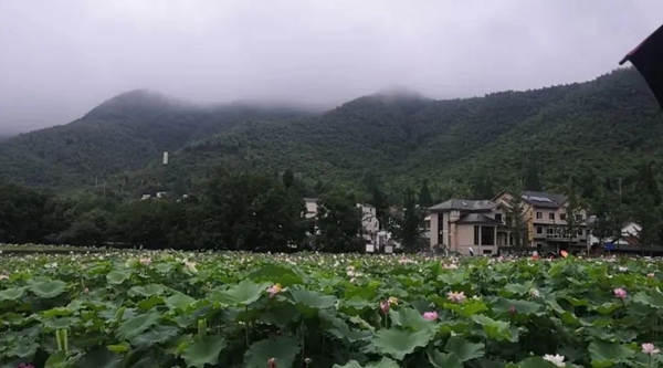 抖圈-为du而生官网入口