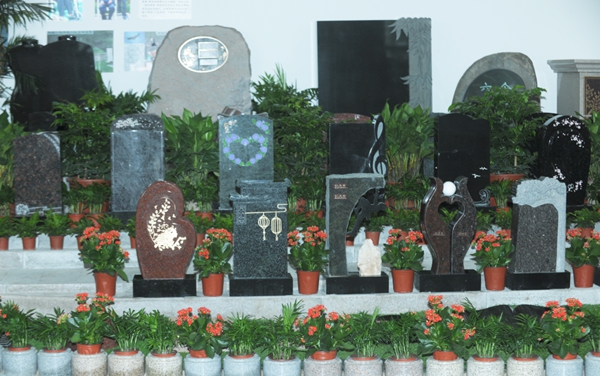 抖圈-为du而生官网入口