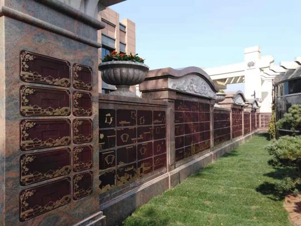 抖圈-为du而生官网入口