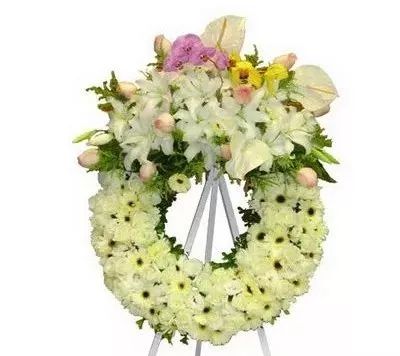 抖圈-为du而生官网入口