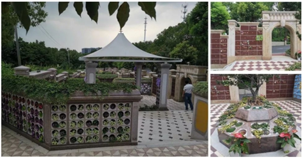 抖圈-为du而生官网入口