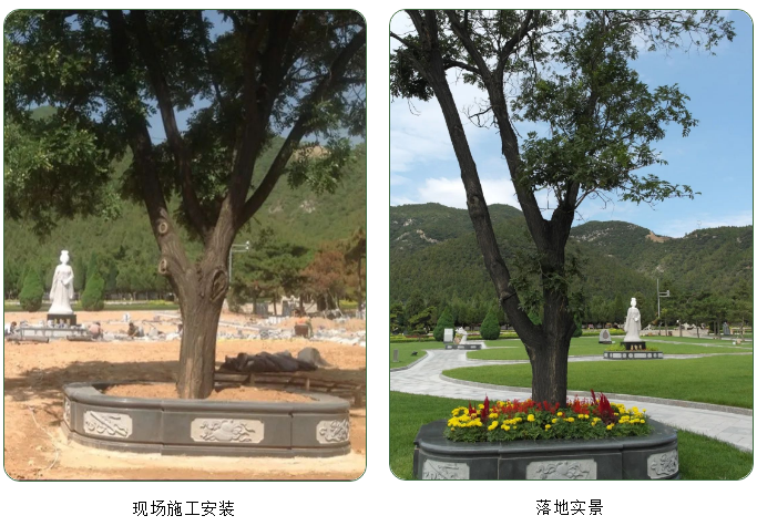 抖圈-为du而生官网入口