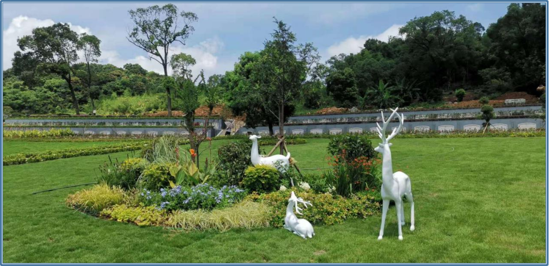 抖圈-为du而生官网入口