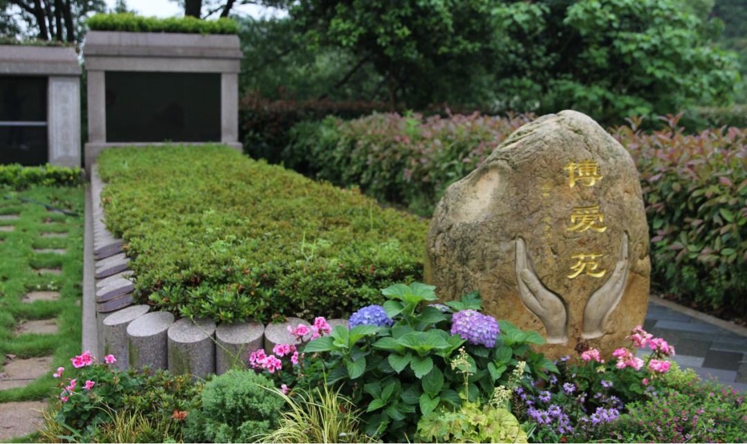 抖圈-为du而生官网入口