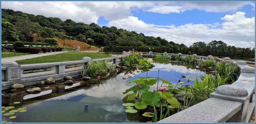 抖圈-为du而生官网入口