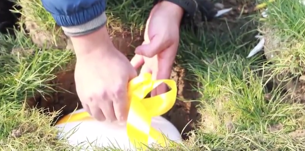 抖圈-为du而生官网入口