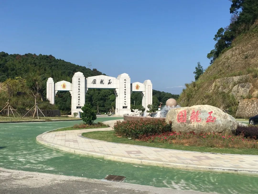 抖圈-为du而生官网入口