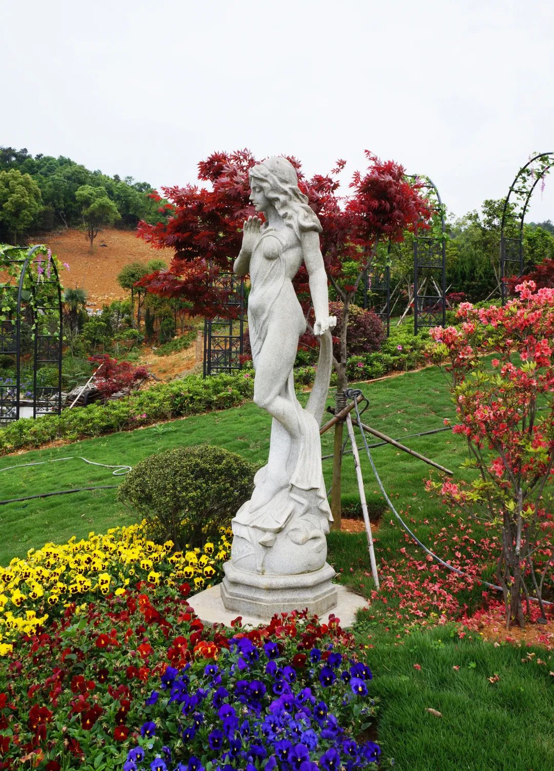 抖圈-为du而生官网入口