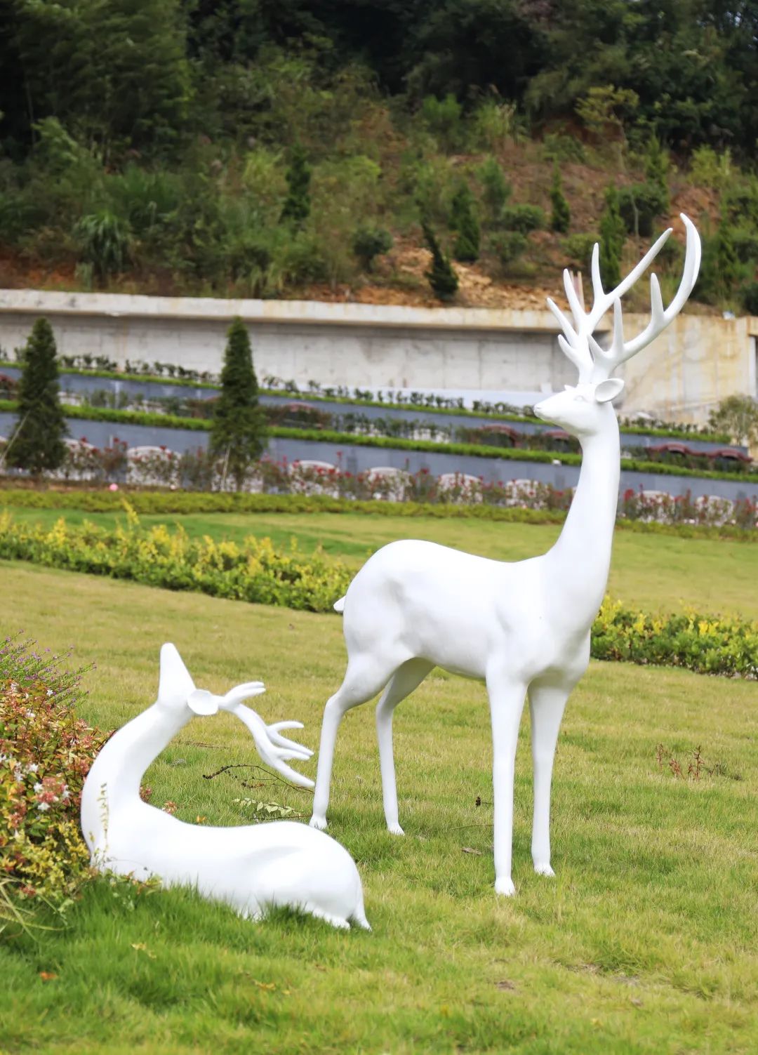 抖圈-为du而生官网入口