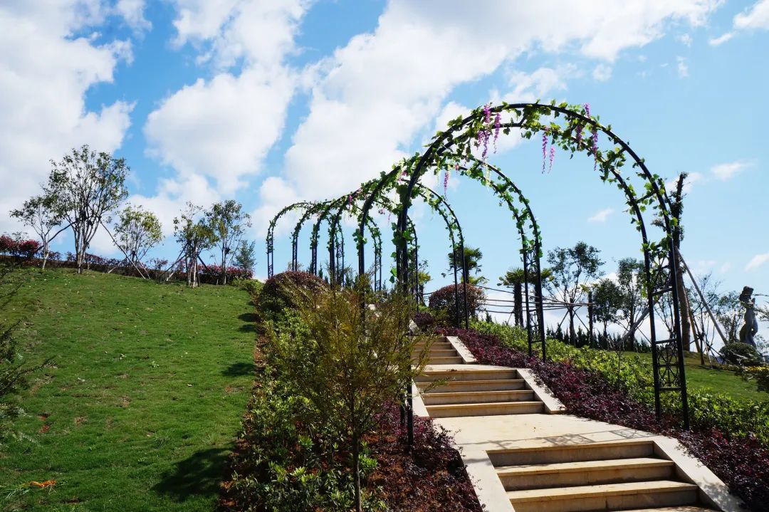 抖圈-为du而生官网入口