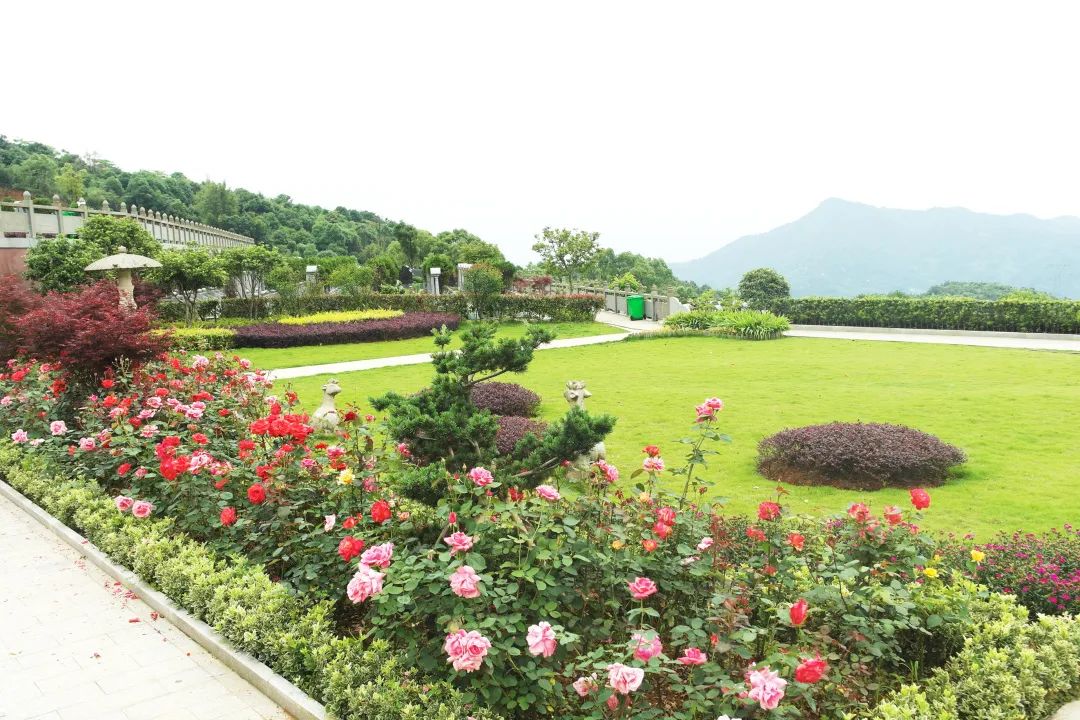 抖圈-为du而生官网入口