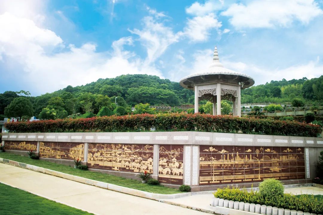 抖圈-为du而生官网入口