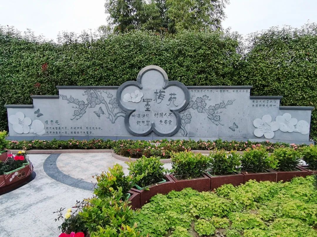 抖圈-为du而生官网入口