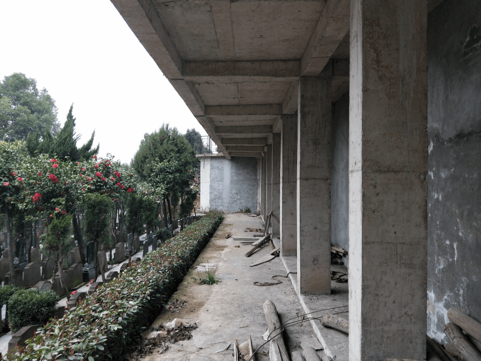 抖圈-为du而生官网入口