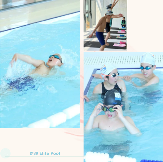 抖圈-为du而生官网入口