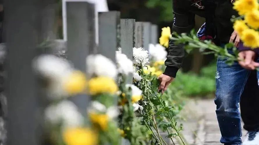 抖圈-为du而生官网入口