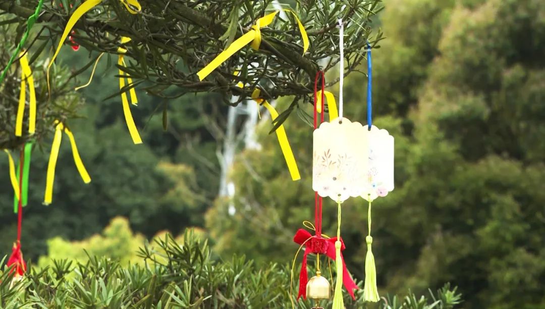 抖圈-为du而生官网入口