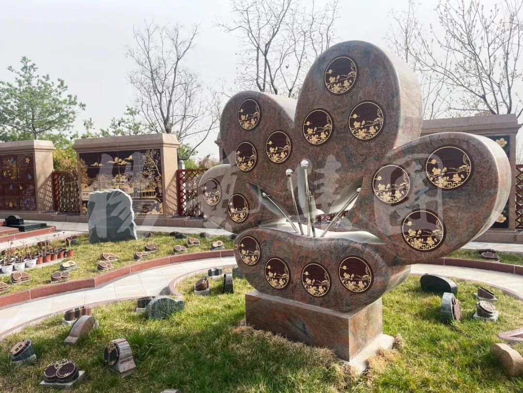 抖圈-为du而生官网入口