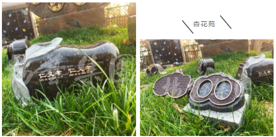 抖圈-为du而生官网入口