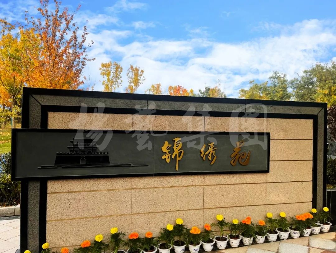 抖圈-为du而生官网入口