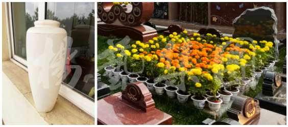 抖圈-为du而生官网入口