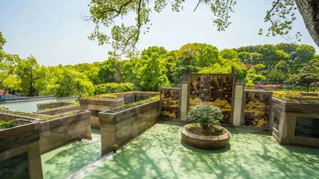 抖圈-为du而生官网入口