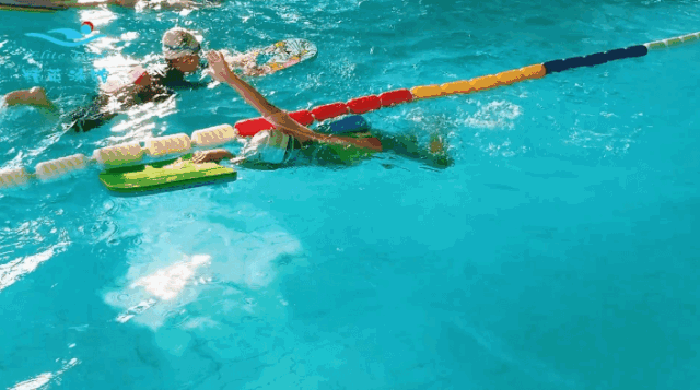 抖圈-为du而生官网入口