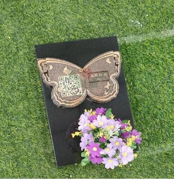 抖圈-为du而生官网入口