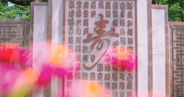 抖圈-为du而生官网入口