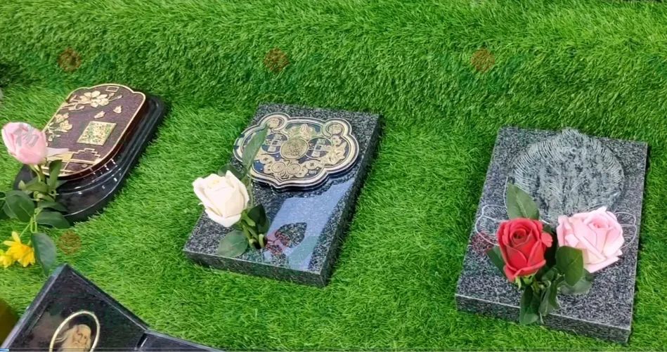 抖圈-为du而生官网入口