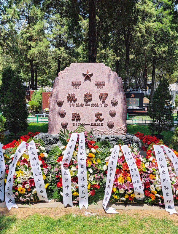 抖圈-为du而生官网入口