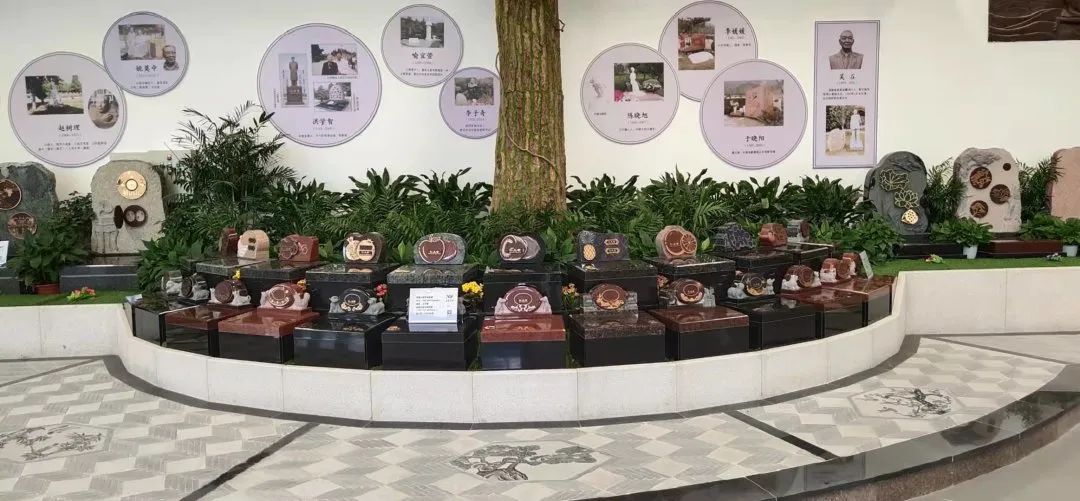 抖圈-为du而生官网入口