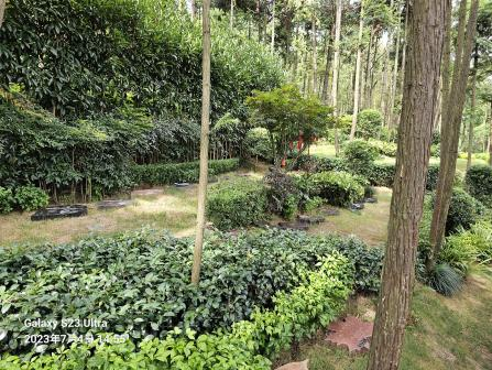 抖圈-为du而生官网入口