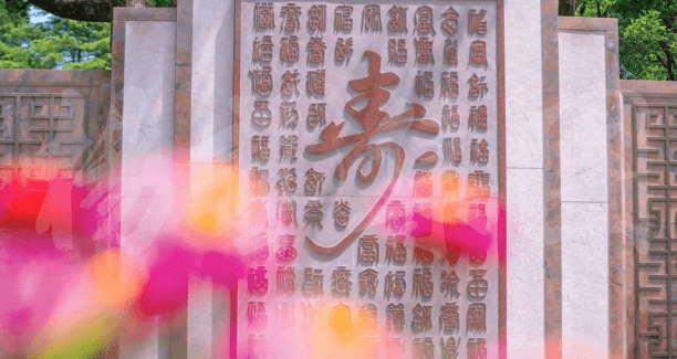 抖圈-为du而生官网入口