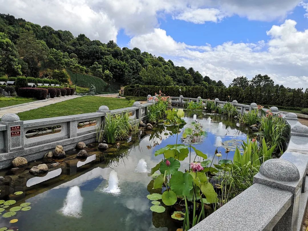 抖圈-为du而生官网入口