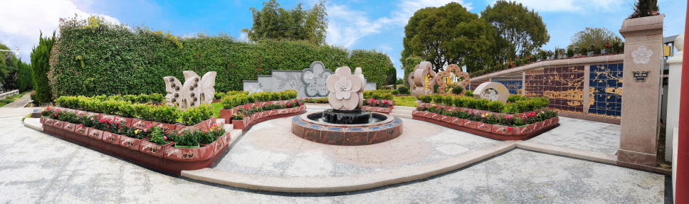 抖圈-为du而生官网入口