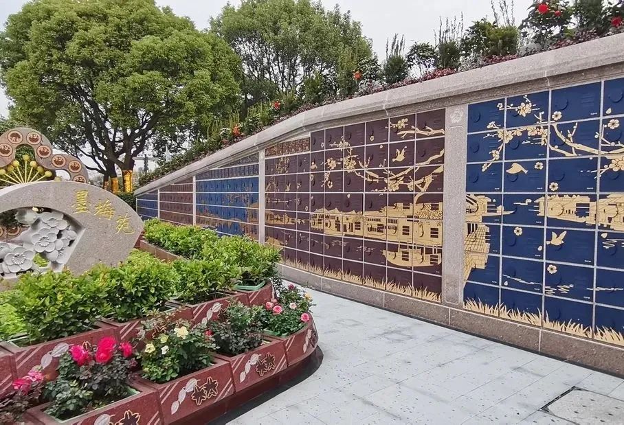 抖圈-为du而生官网入口