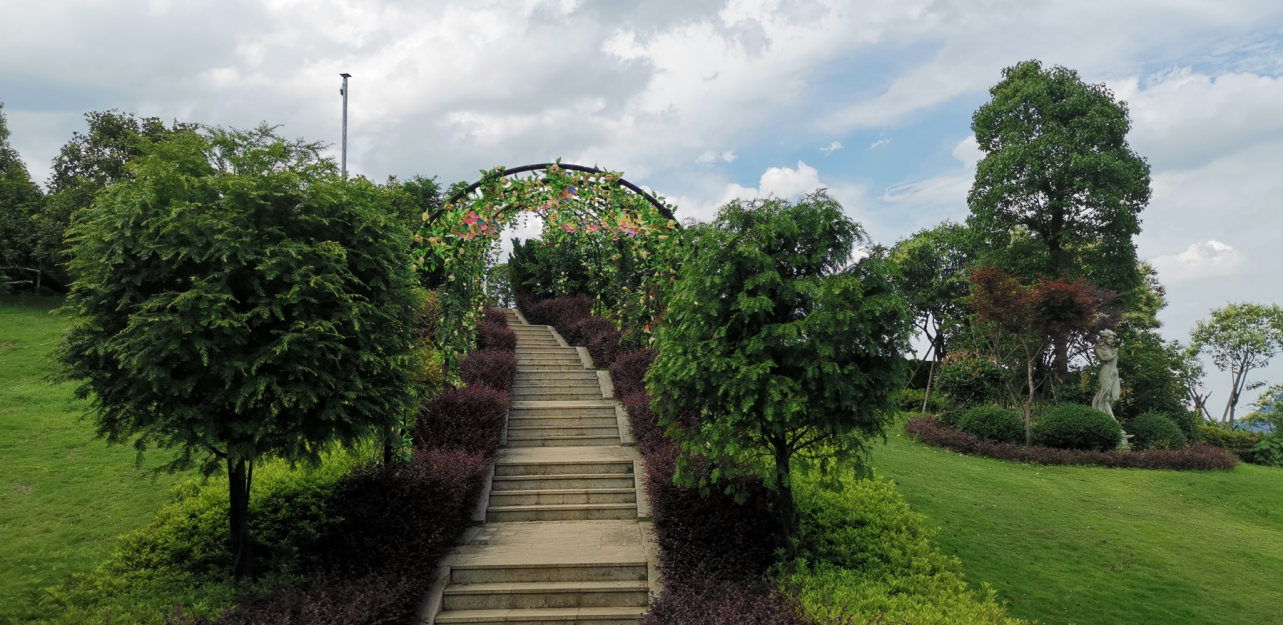 抖圈-为du而生官网入口