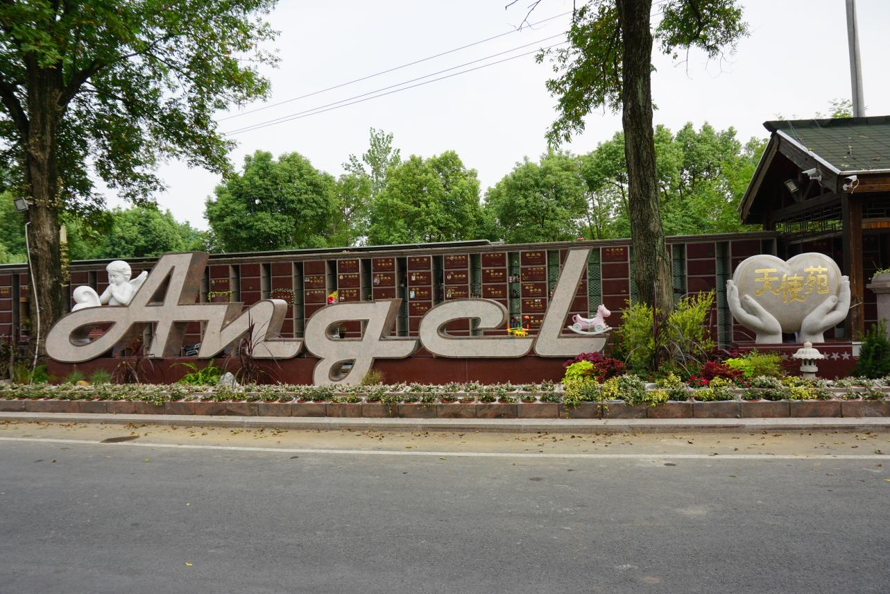 抖圈-为du而生官网入口