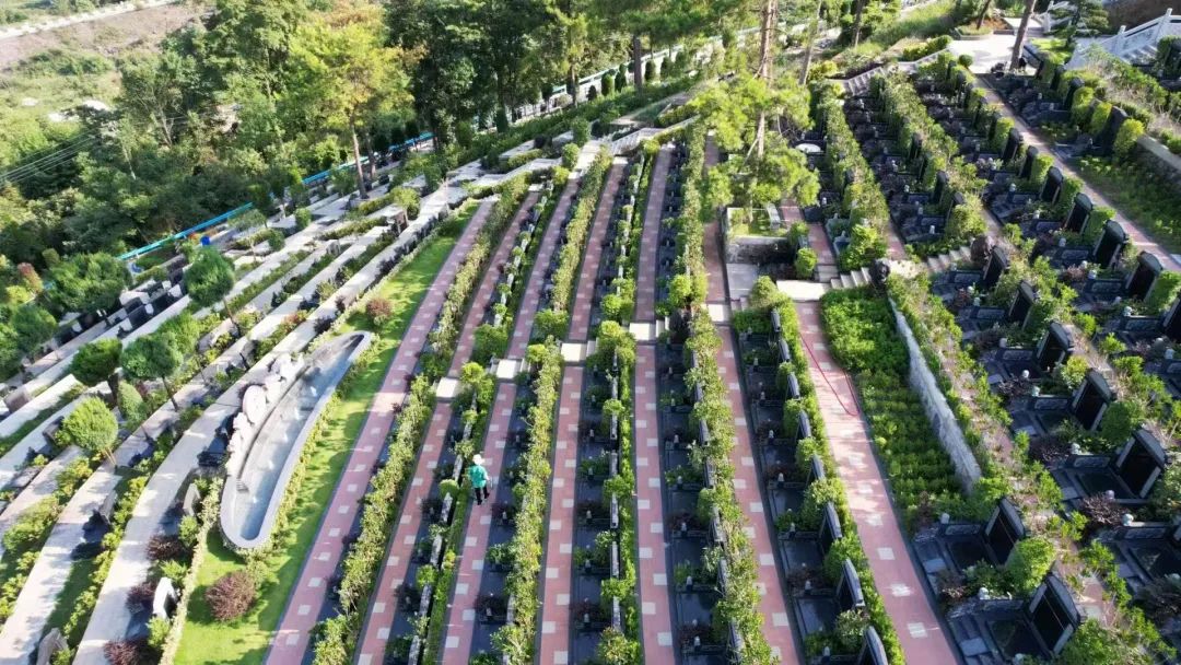 抖圈-为du而生官网入口