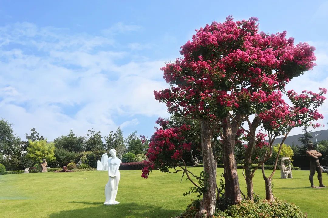 抖圈-为du而生官网入口