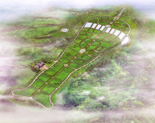 抖圈集团：公墓投资的践行者，谋划治理的行家