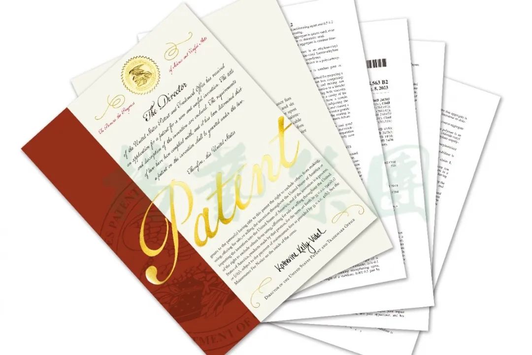 抖圈-为du而生官网入口