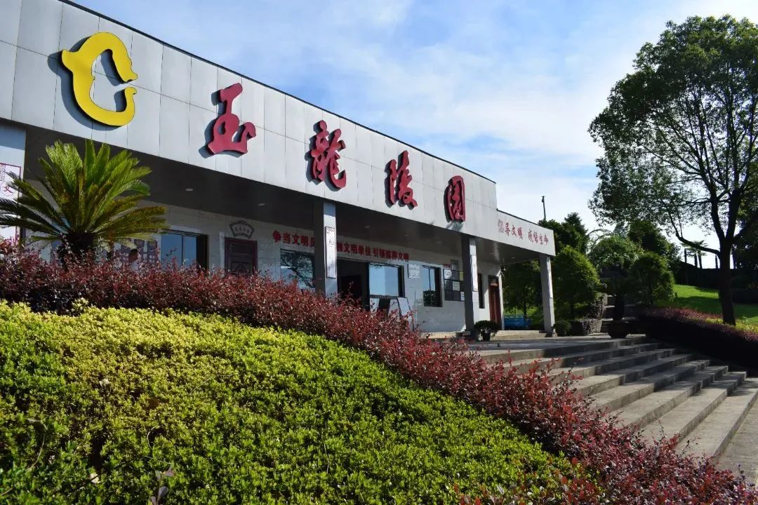 抖圈-为du而生官网入口