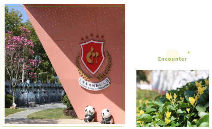 抖圈-为du而生官网入口