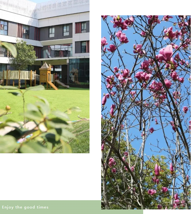 抖圈-为du而生官网入口