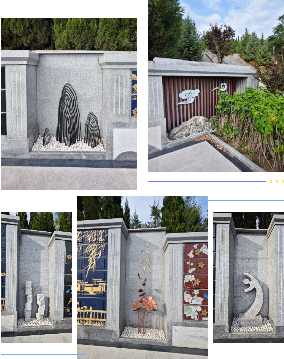 抖圈-为du而生官网入口